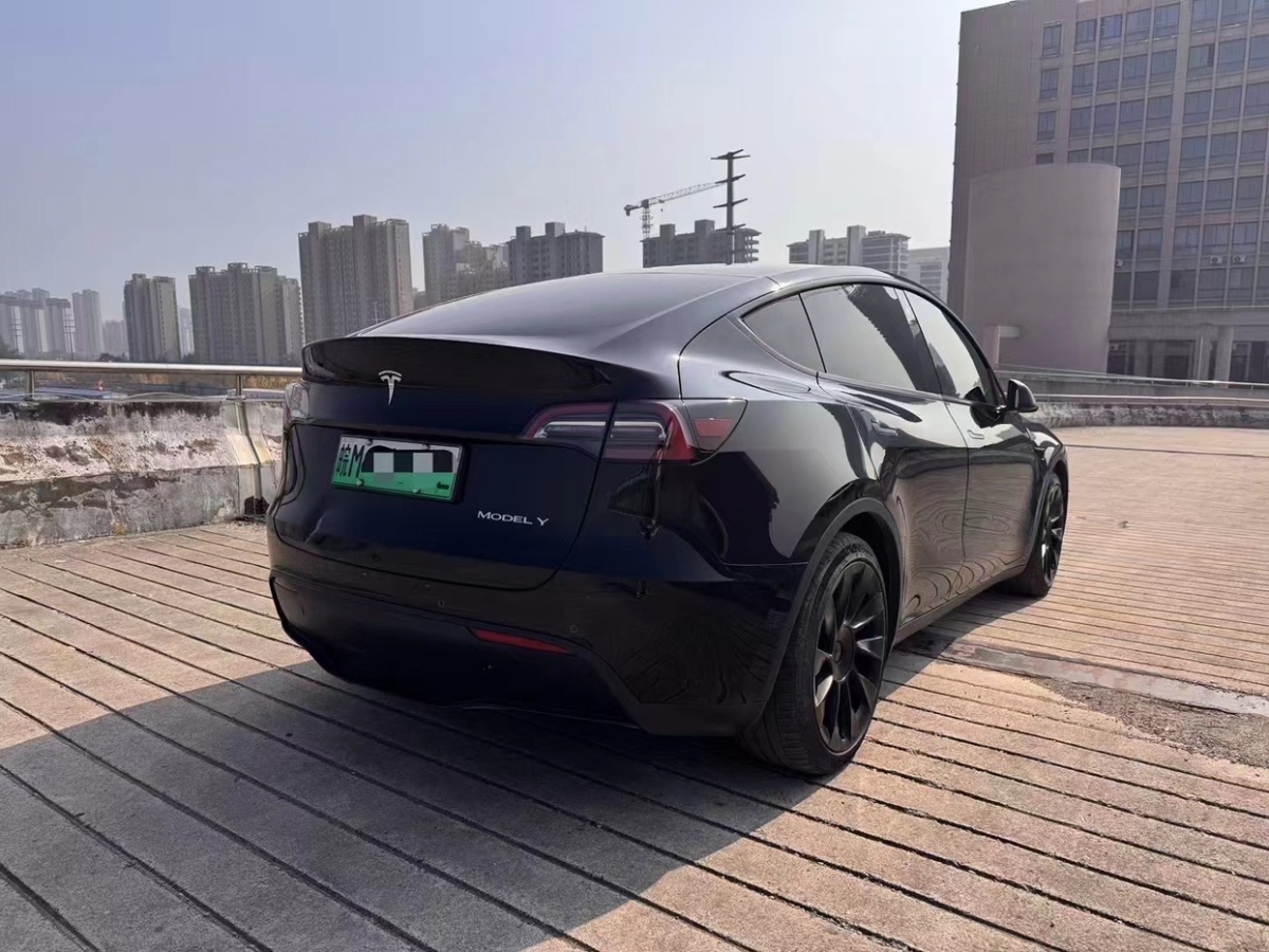 特斯拉 Model Y  2021款 改款 標準續(xù)航后驅(qū)升級版圖片