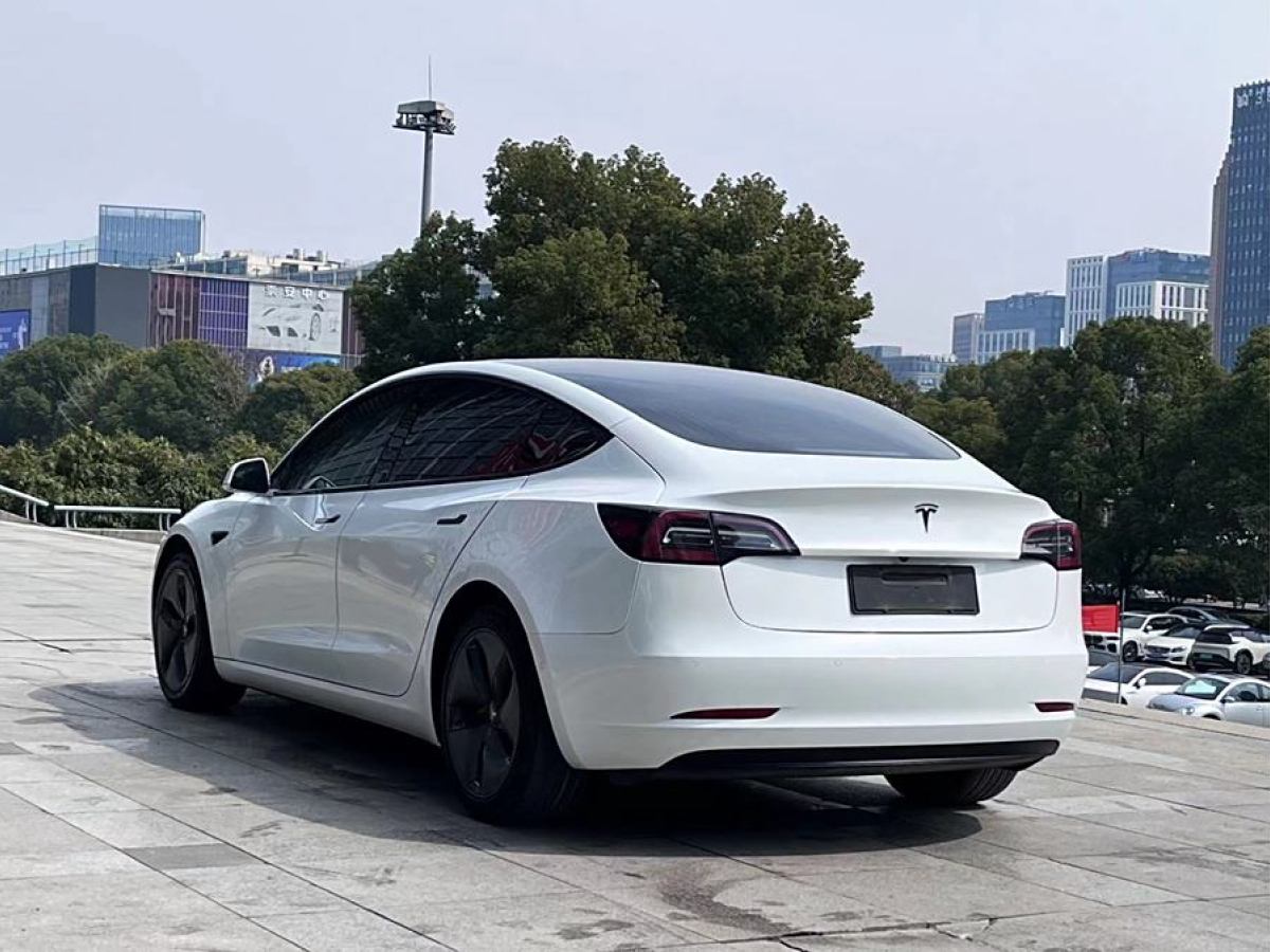 特斯拉 Model 3  2019款 長續(xù)航全輪驅(qū)動版圖片