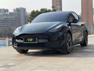 2022年6月 特斯拉 Model Y  改款 后輪驅(qū)動版圖片