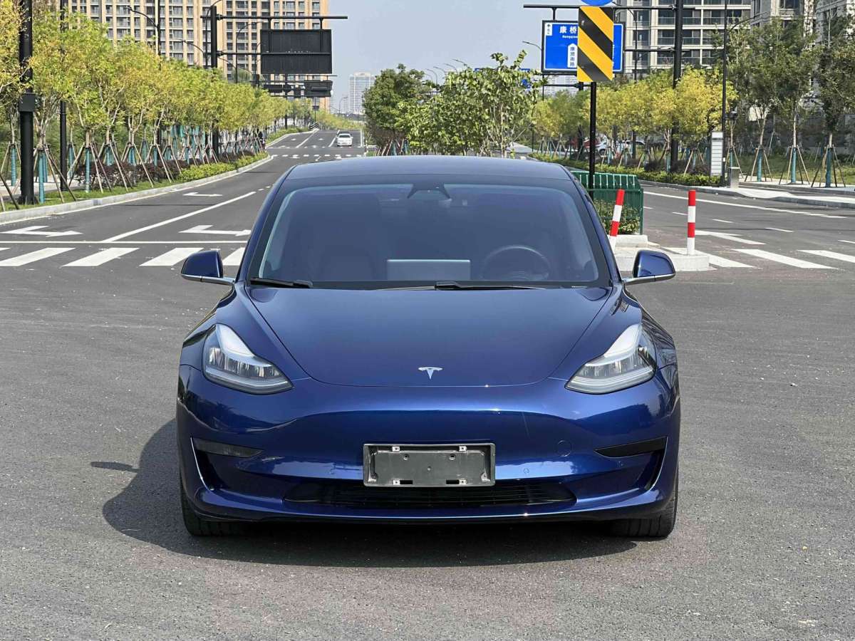 2020年07月特斯拉 Model 3  2019款 標(biāo)準(zhǔn)續(xù)航后驅(qū)升級(jí)版