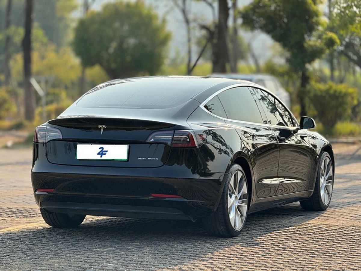 特斯拉 Model 3  2019款 Performance高性能全輪驅(qū)動版圖片