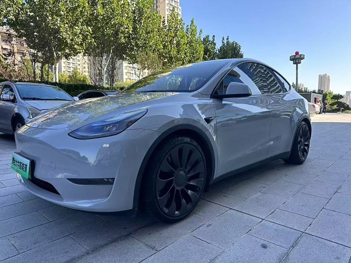 特斯拉 Model Y  2022款 Performance高性能全輪驅(qū)動版圖片