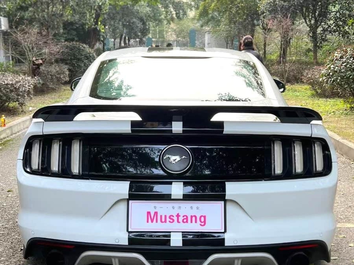 福特 Mustang  2015款 2.3T 性能版圖片
