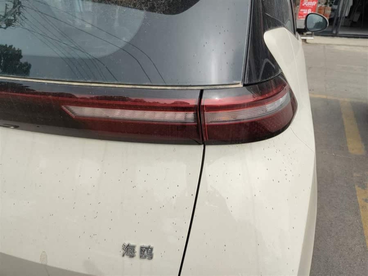 比亞迪 海鷗  2025款 305km 活力版圖片