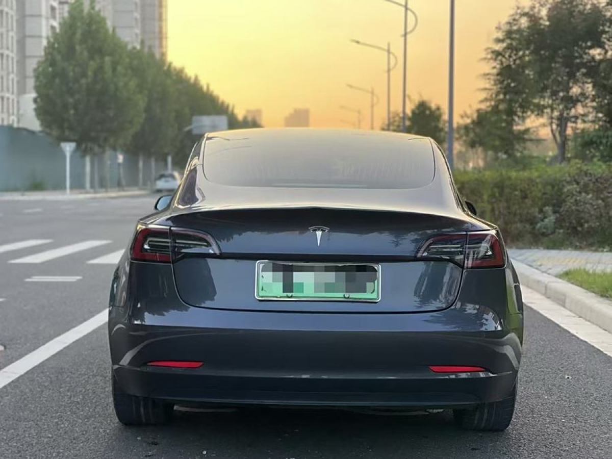 特斯拉 Model 3  2019款 標(biāo)準(zhǔn)續(xù)航后驅(qū)升級版圖片