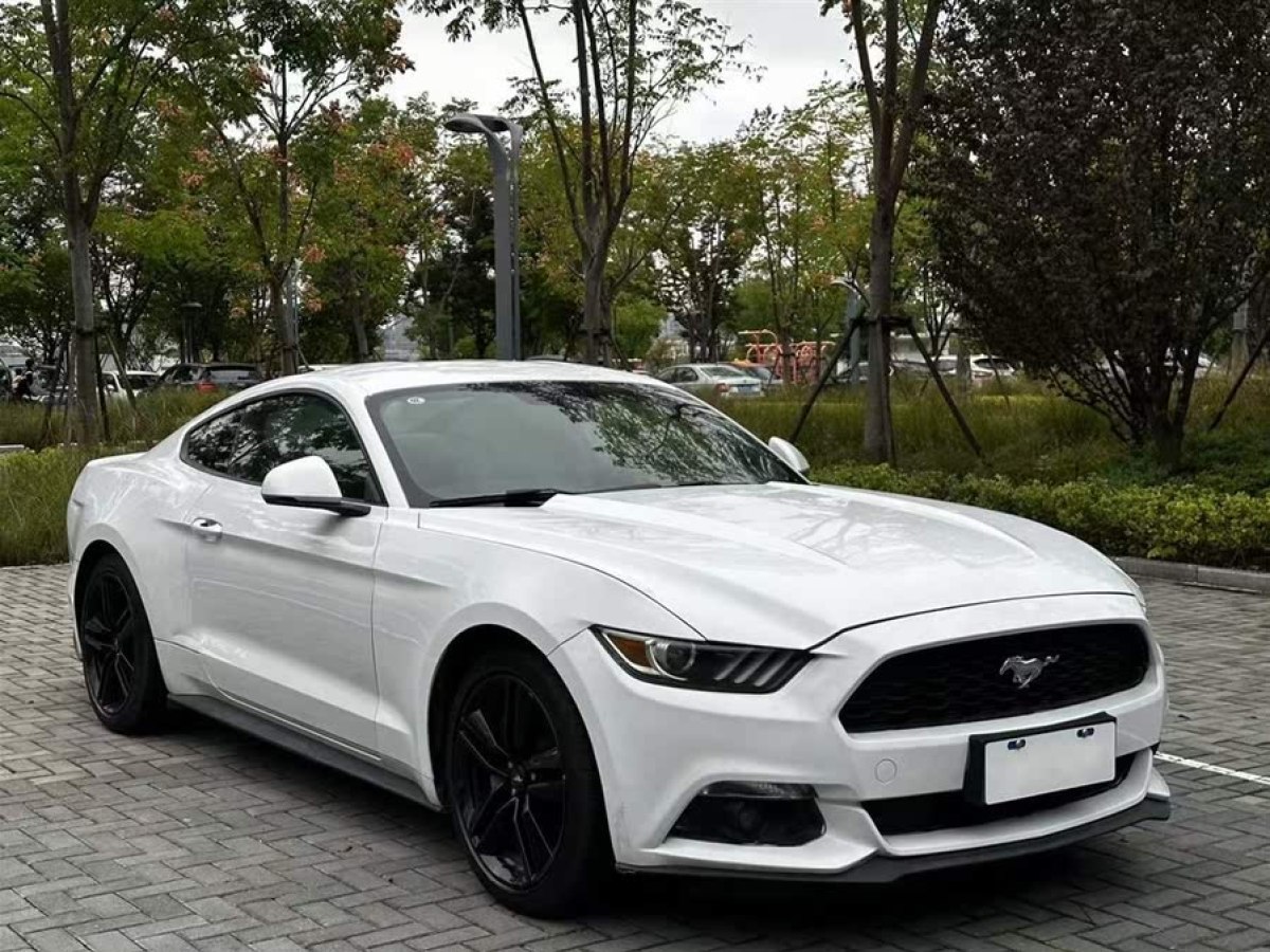 福特 Mustang  2017款 2.3T 性能版圖片