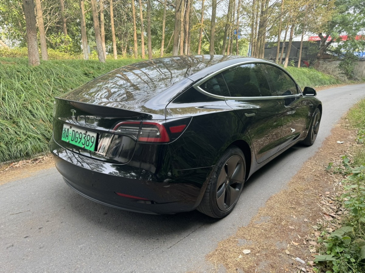 特斯拉 Model 3  2019款 長(zhǎng)續(xù)航后驅(qū)版圖片