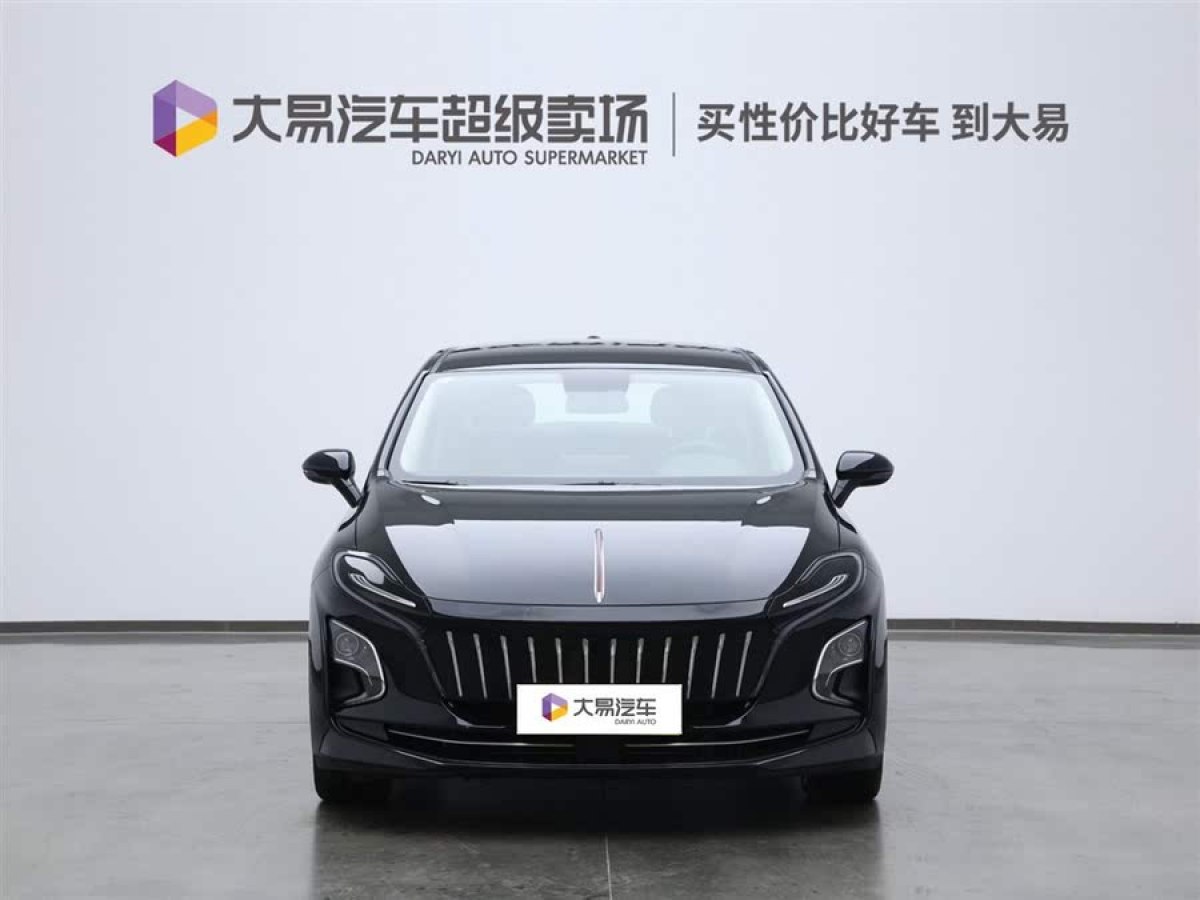 紅旗 紅旗E-QM5  2022款 431km 充電樂享版圖片