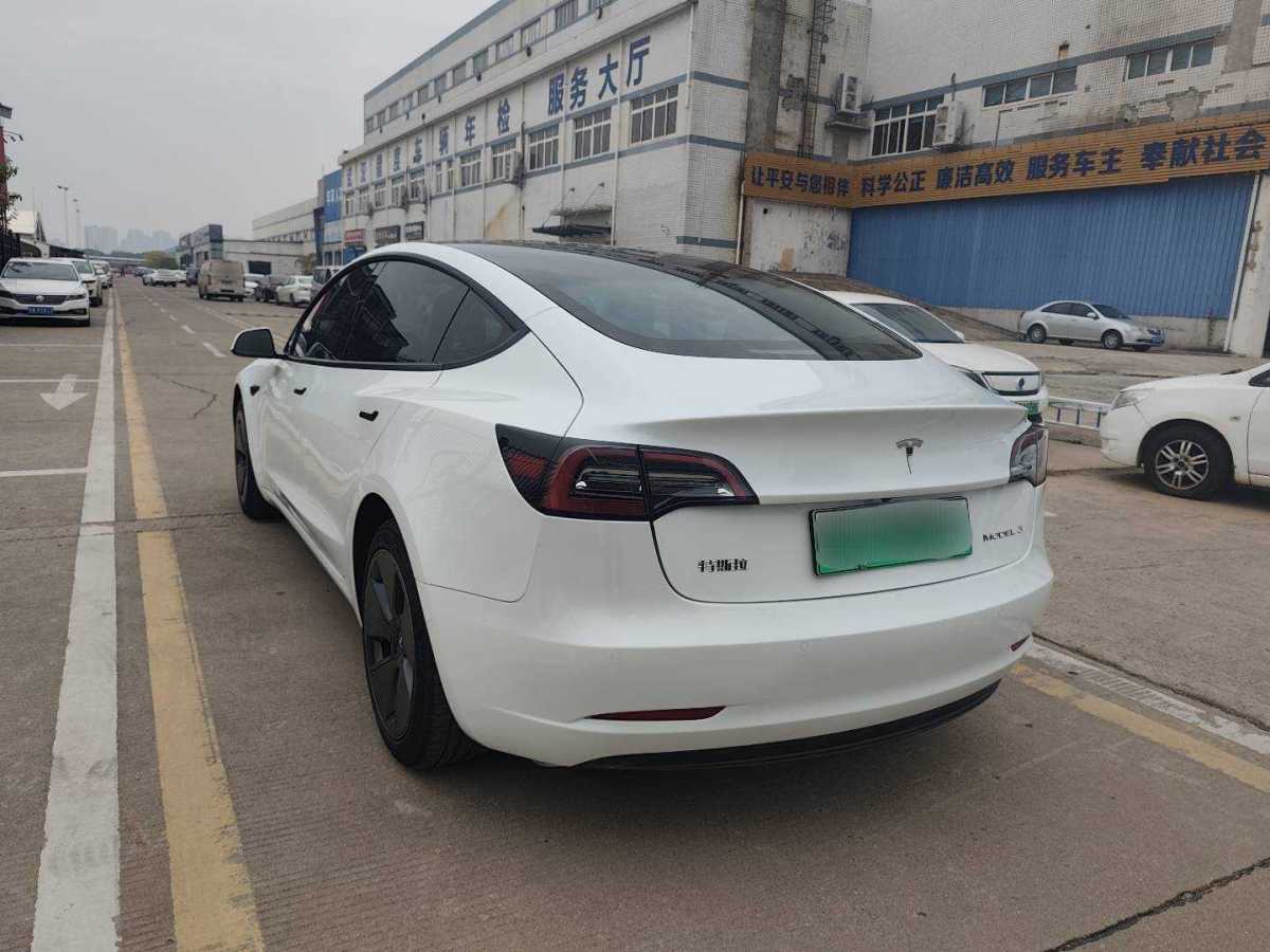 特斯拉 Model 3  2021款 標(biāo)準(zhǔn)續(xù)航后驅(qū)升級(jí)版 3D6圖片