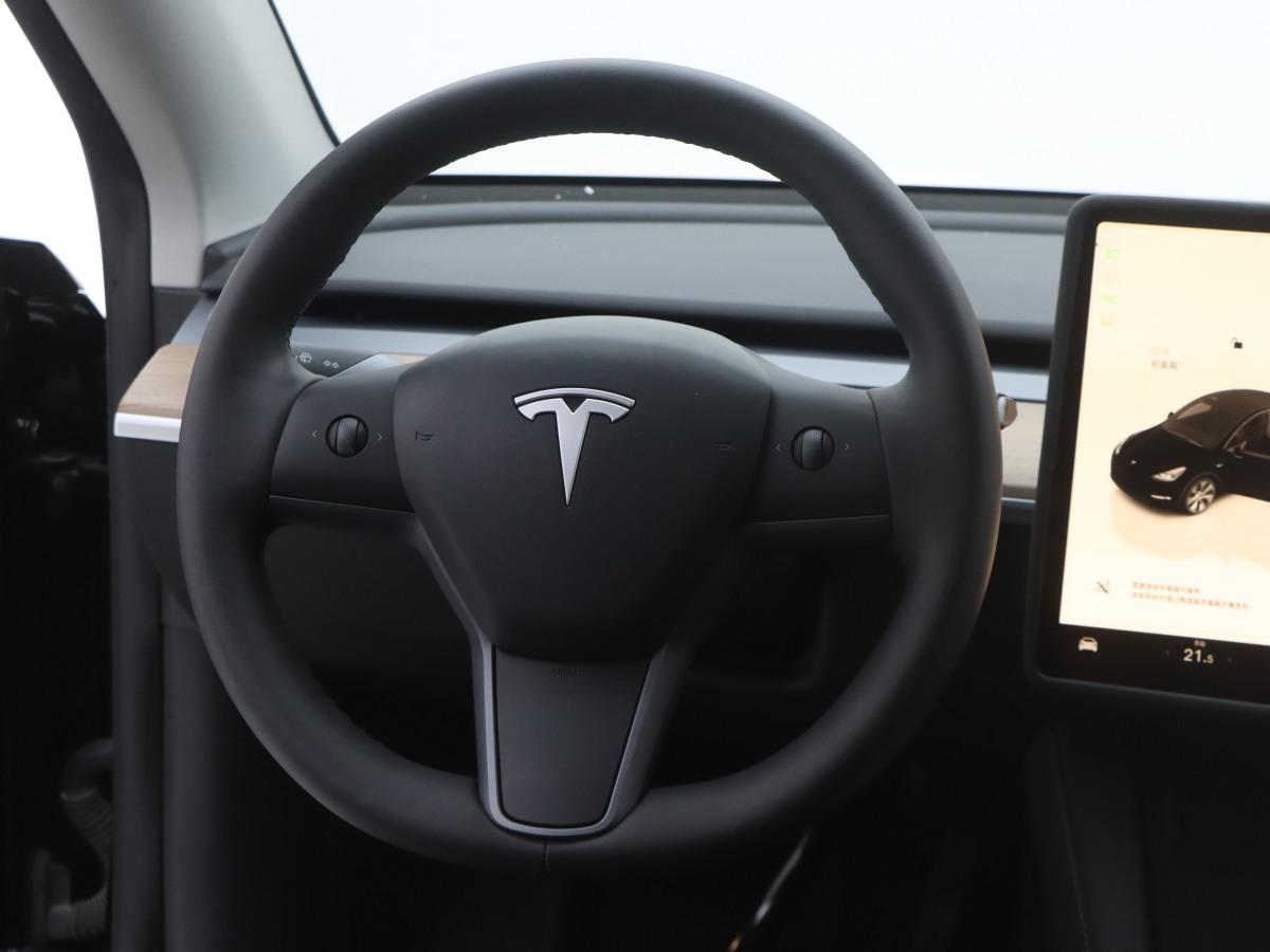 2022年2月特斯拉 Model Y  2022款 改款 后輪驅(qū)動版