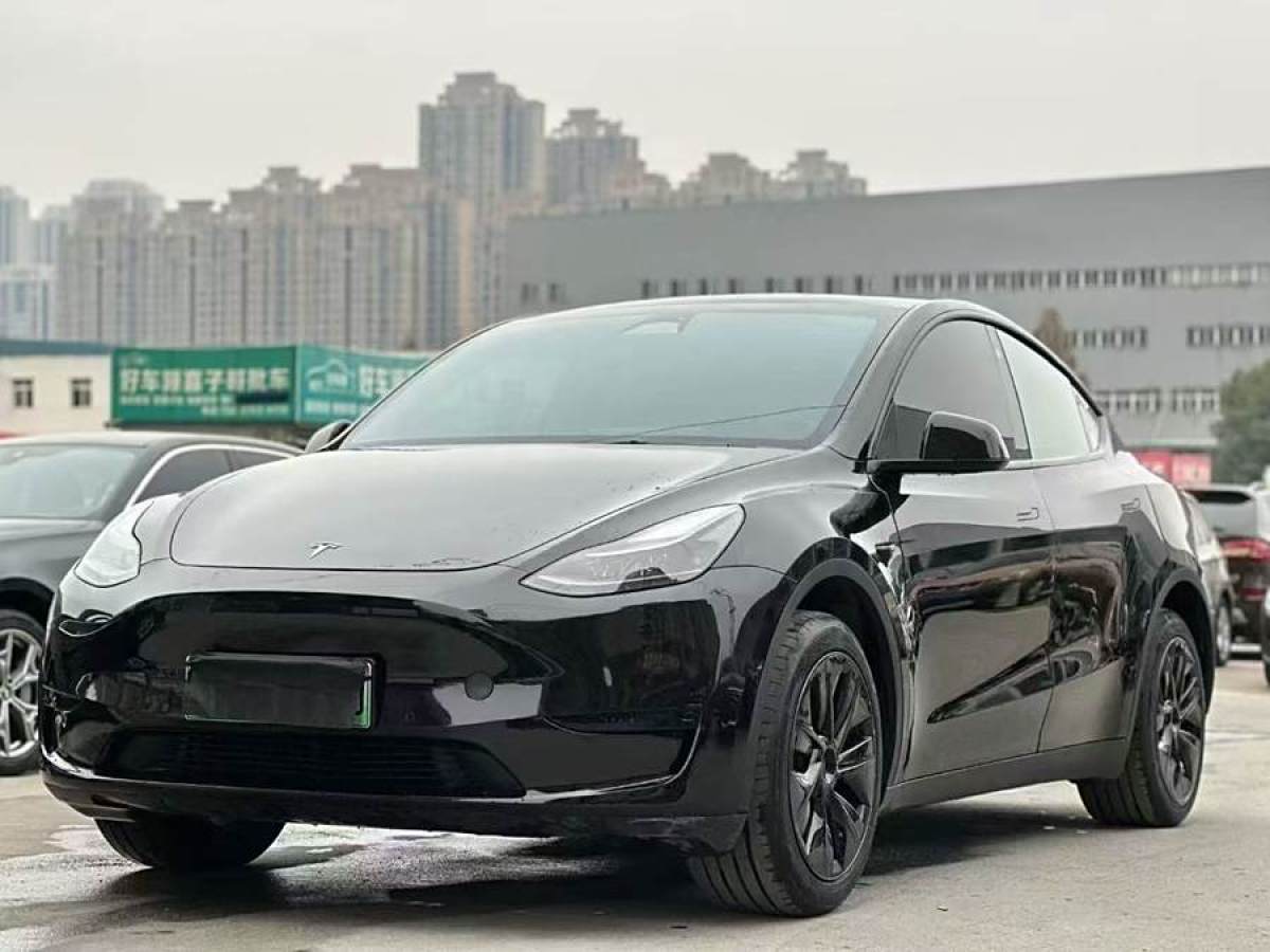 特斯拉 Model 3  2022款 后輪驅(qū)動(dòng)版圖片