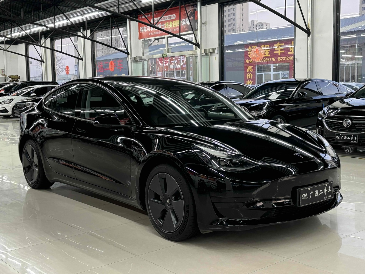 特斯拉 Model 3  2021款 標(biāo)準(zhǔn)續(xù)航后驅(qū)升級版 3D6圖片