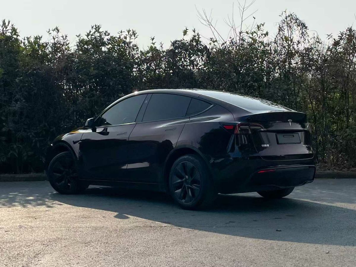 特斯拉 Model Y  2024款 Performance高性能版圖片