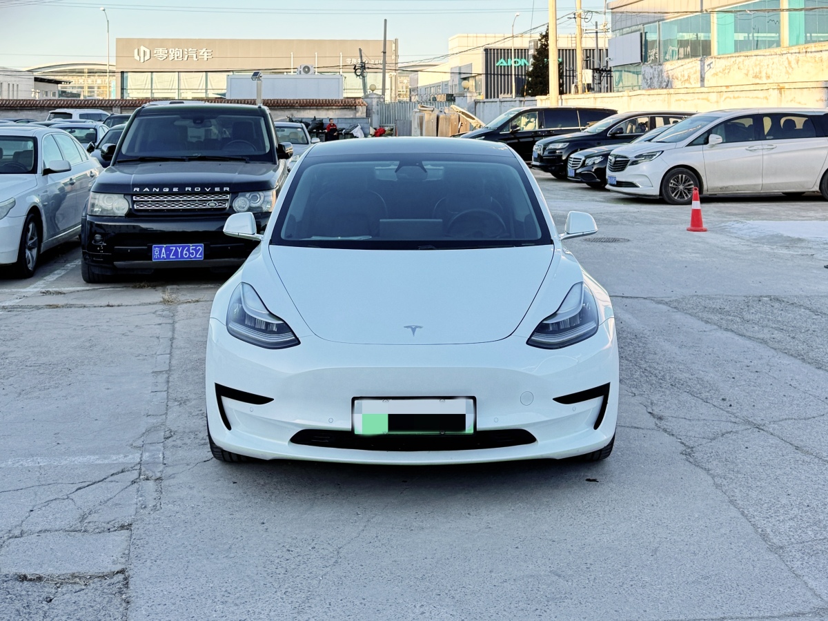 特斯拉 Model 3  2019款 標(biāo)準(zhǔn)續(xù)航后驅(qū)升級(jí)版圖片