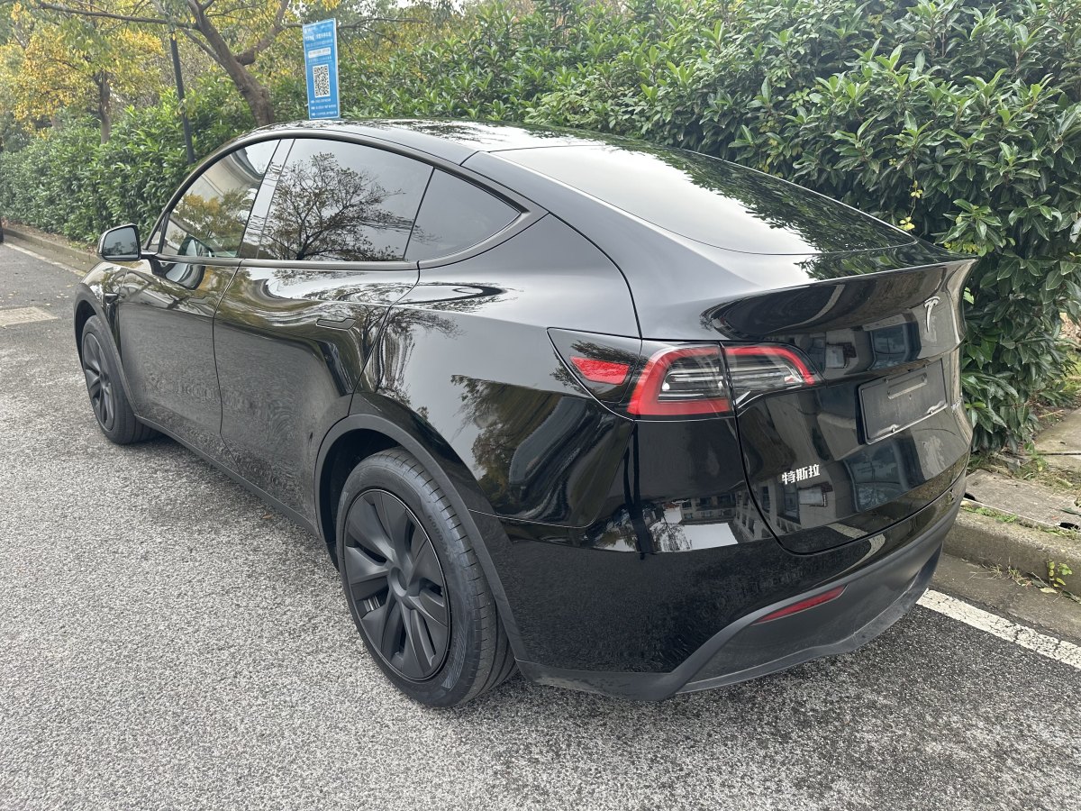 特斯拉 Model Y  2020款 改款 長續(xù)航后輪驅動版圖片