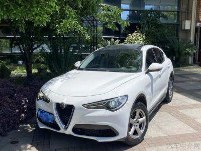 2019年7月 阿爾法·羅密歐 Stelvio 2.0T 200HP 精英版圖片