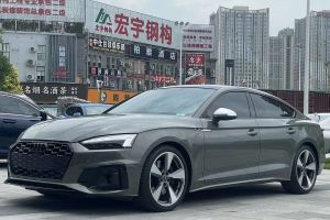 奥迪S5 奥迪 S5 3.0T Cabriolet