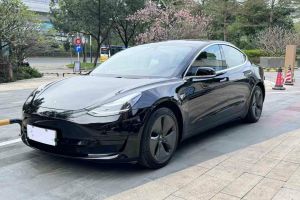 Model 3 特斯拉 标准续航后驱升级版