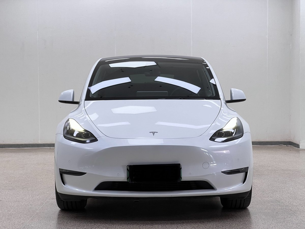 特斯拉 Model Y  2021款 改款 標(biāo)準(zhǔn)續(xù)航后驅(qū)升級版圖片