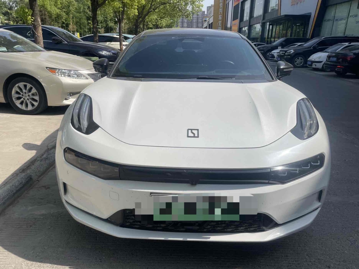 極氪 極氪001  2021款 超長續(xù)航單電機 WE版圖片