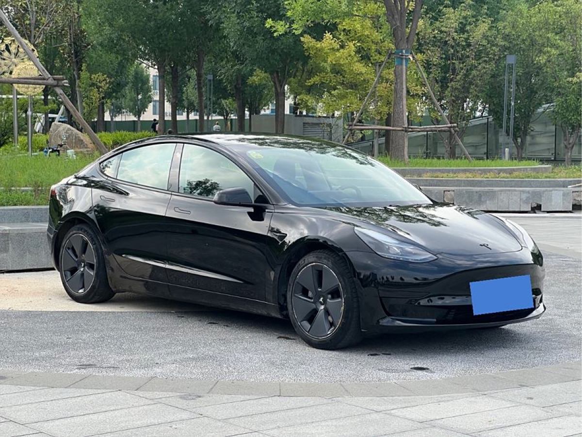 特斯拉 Model Y  2020款 改款 標(biāo)準(zhǔn)續(xù)航后驅(qū)升級(jí)版圖片