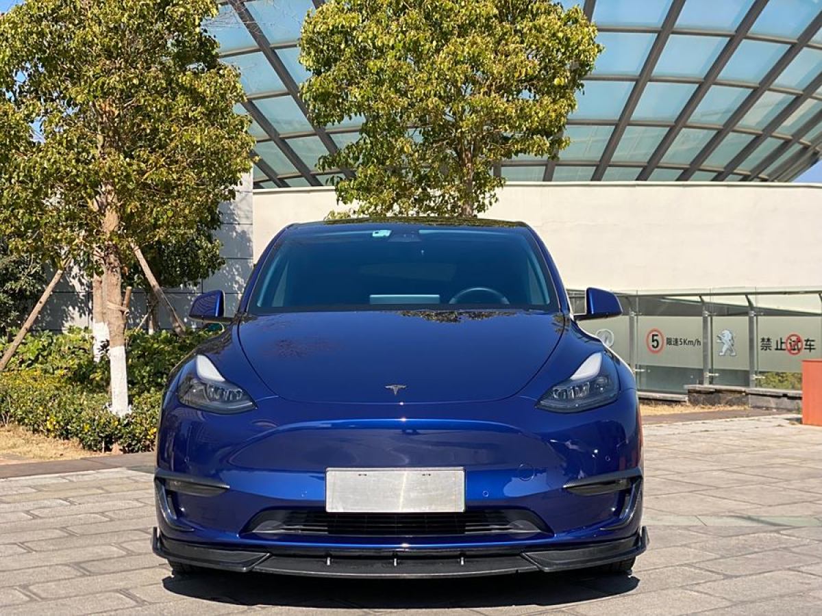 特斯拉 Model Y  2021款 改款 長續(xù)航全輪驅(qū)動(dòng)版圖片