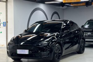 Model Y 特斯拉 后轮驱动版