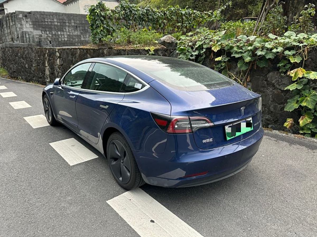 特斯拉 Model Y  2020款 改款 標準續(xù)航后驅(qū)升級版圖片