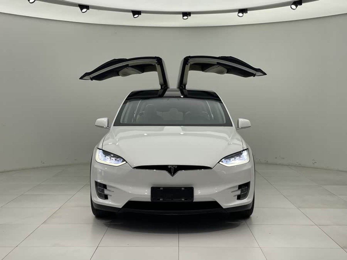 特斯拉 Model X  2017款 Model X 100D 長續(xù)航版圖片
