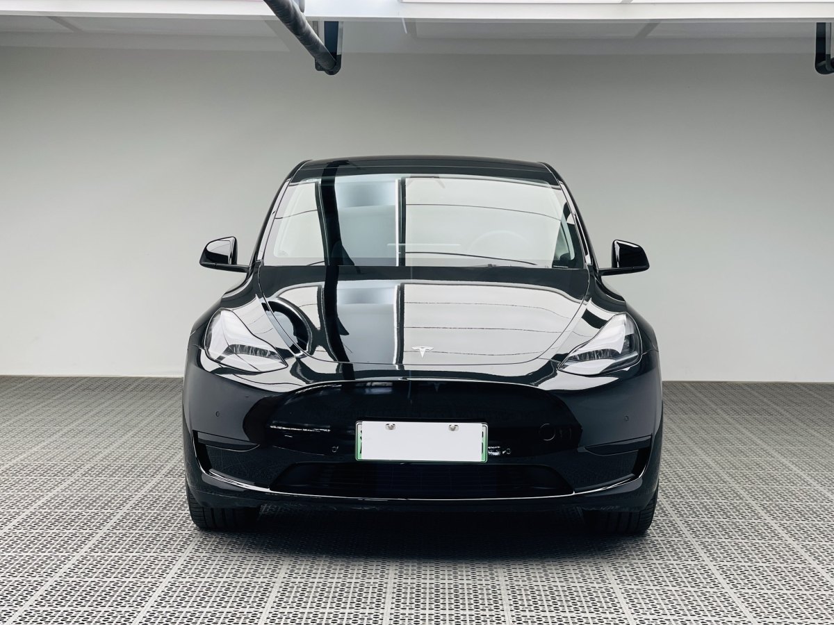 特斯拉 Model Y  2022款 后輪驅(qū)動版圖片