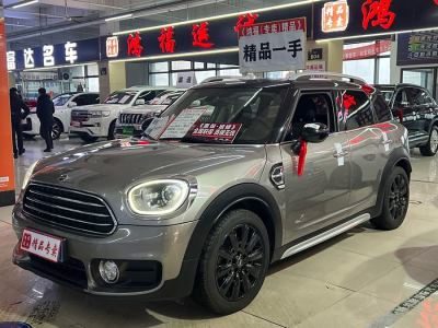 2018年8月 MINI COUNTRYMAN 1.5T COOPER ALL4 藝術(shù)家圖片