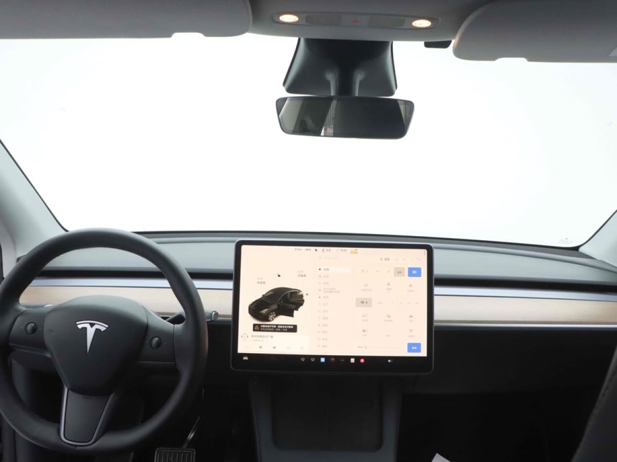 特斯拉 Model Y  2021款 標(biāo)準續(xù)航后驅(qū)版圖片