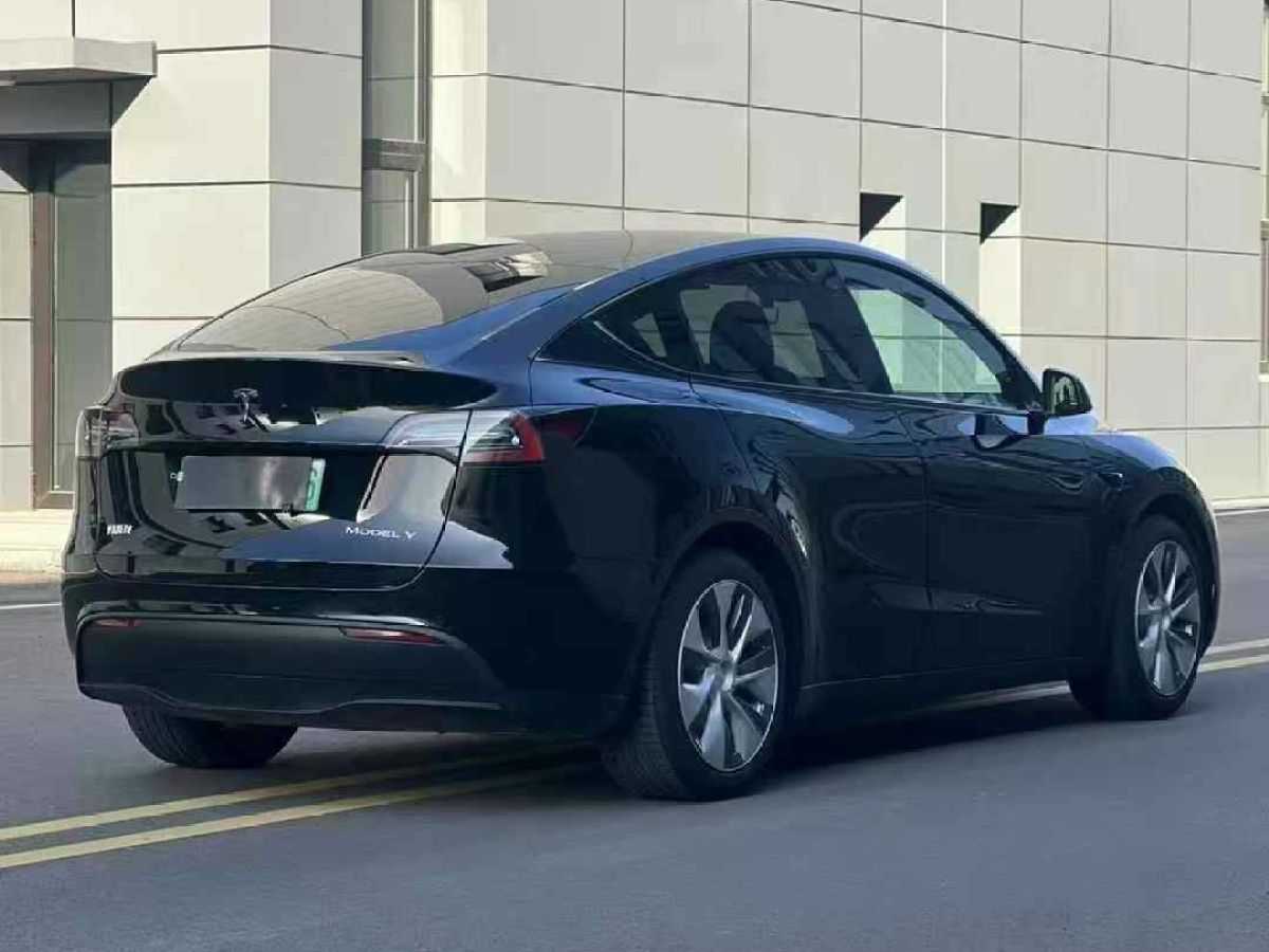 特斯拉 Model 3  2022款 Performance高性能全輪驅(qū)動版圖片