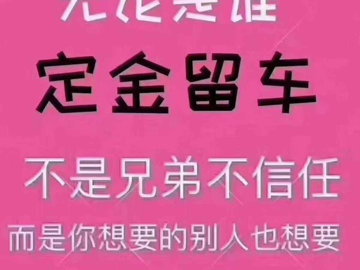 2016年1月福特 ?？怂? 2016款 2.3T RS 賽道版