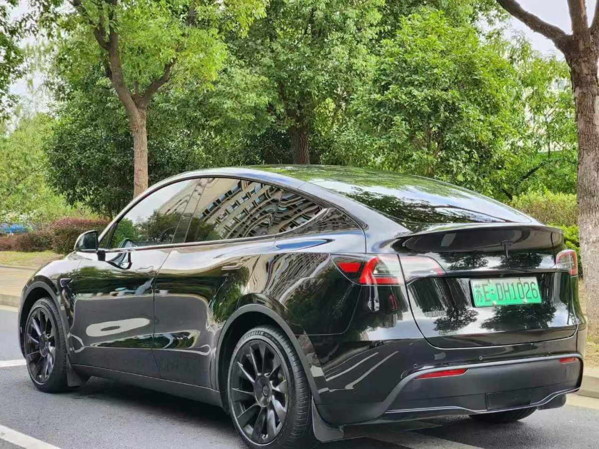 特斯拉 Model S  2023款 三電機(jī)全輪驅(qū)動(dòng) Plaid版圖片