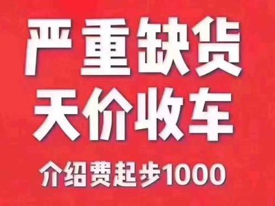 2017年1月 長(zhǎng)安 歐尚 1.5L 手動(dòng)精英型圖片