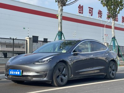 2019年7月 特斯拉 Model 3 长续航后驱版图片