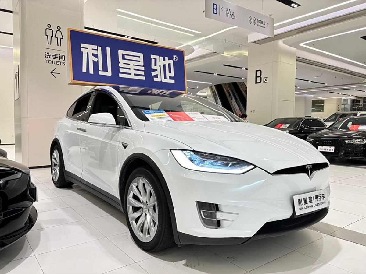 2020年9月特斯拉 Model X  2019款 Performance 高性能版