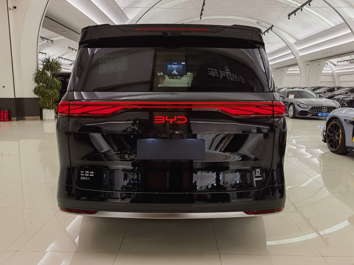 比亞迪 宋Pro新能源  2025款 DM-i 115KM卓越型圖片