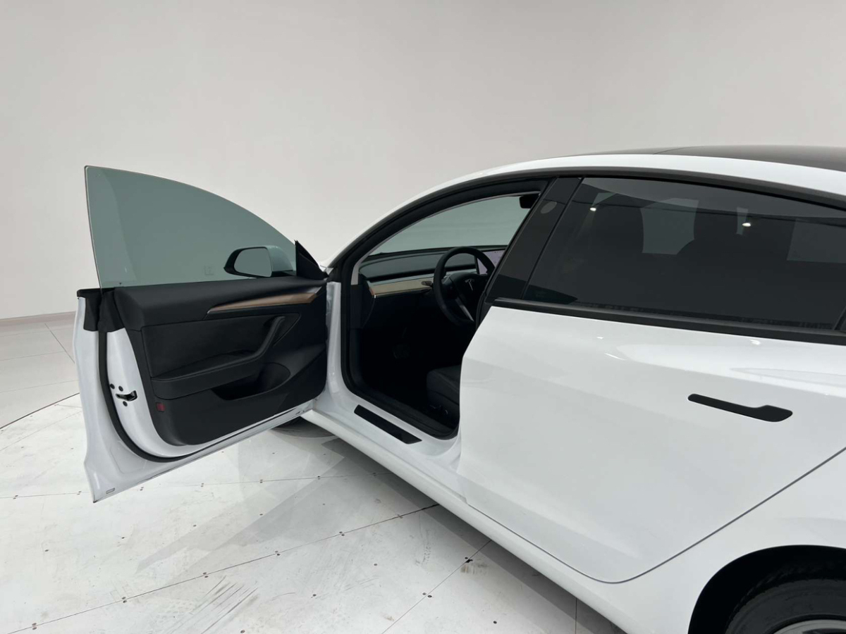 特斯拉 Model 3  2019款 標(biāo)準(zhǔn)續(xù)航后驅(qū)升級版圖片