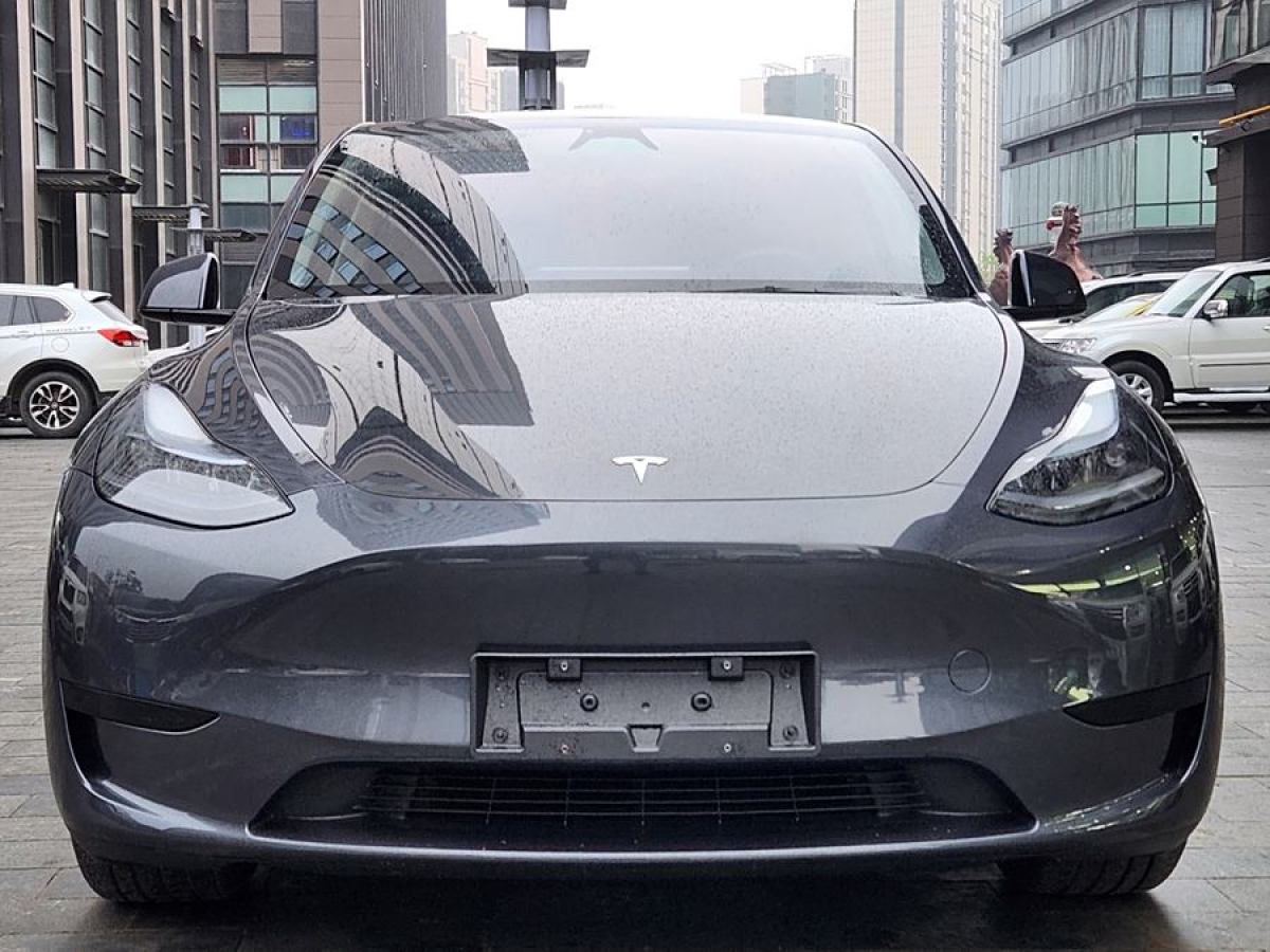 特斯拉 Model Y  2020款 改款 長(zhǎng)續(xù)航后輪驅(qū)動(dòng)版圖片