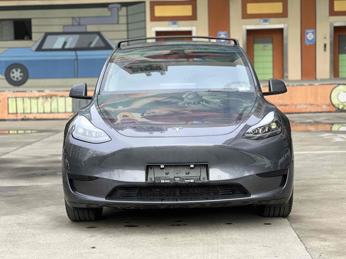 特斯拉 Model Y  2020款 改款 長續(xù)航后輪驅(qū)動版圖片