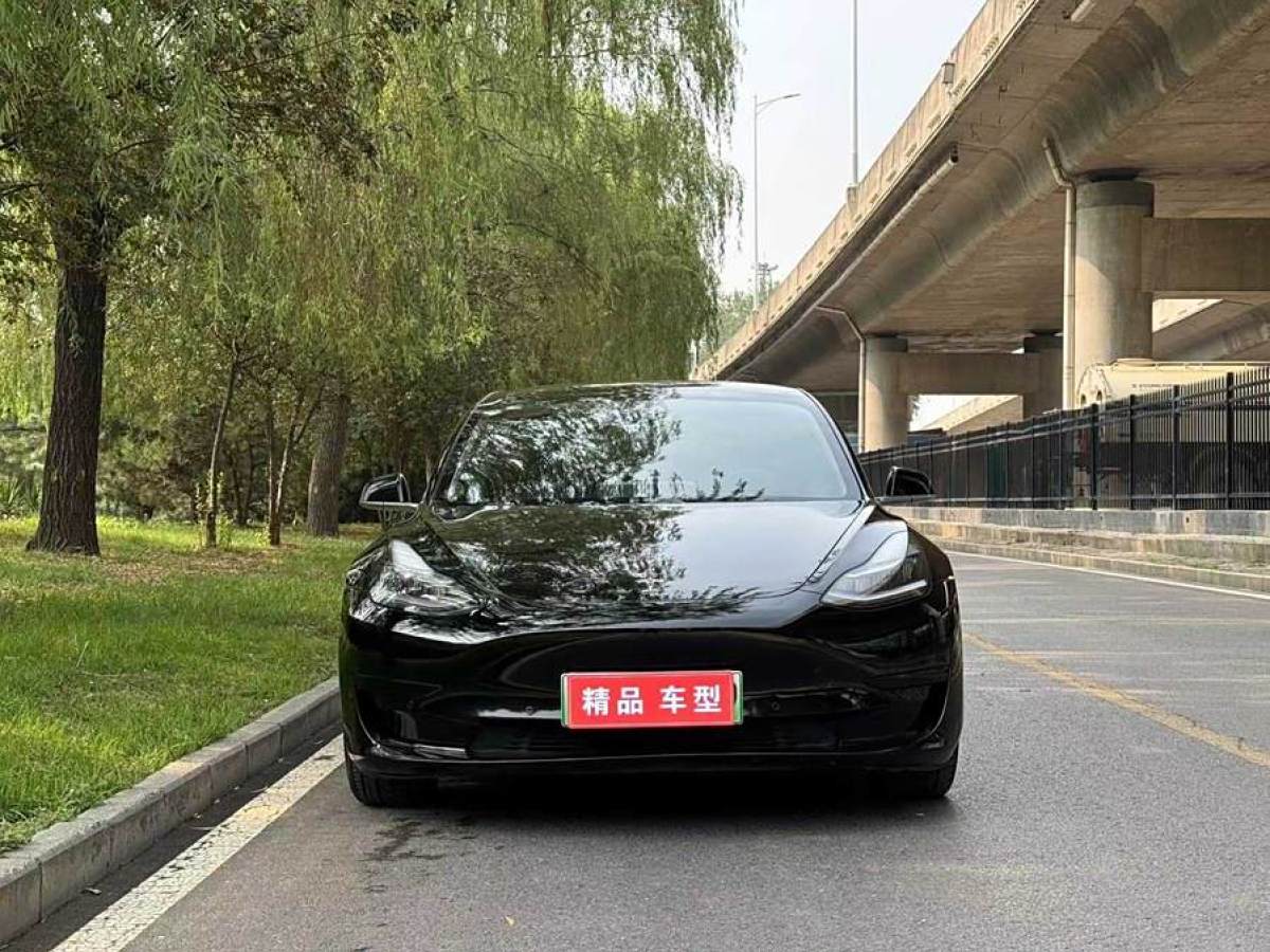 特斯拉 Model 3  2020款 改款 標(biāo)準(zhǔn)續(xù)航后驅(qū)升級(jí)版圖片