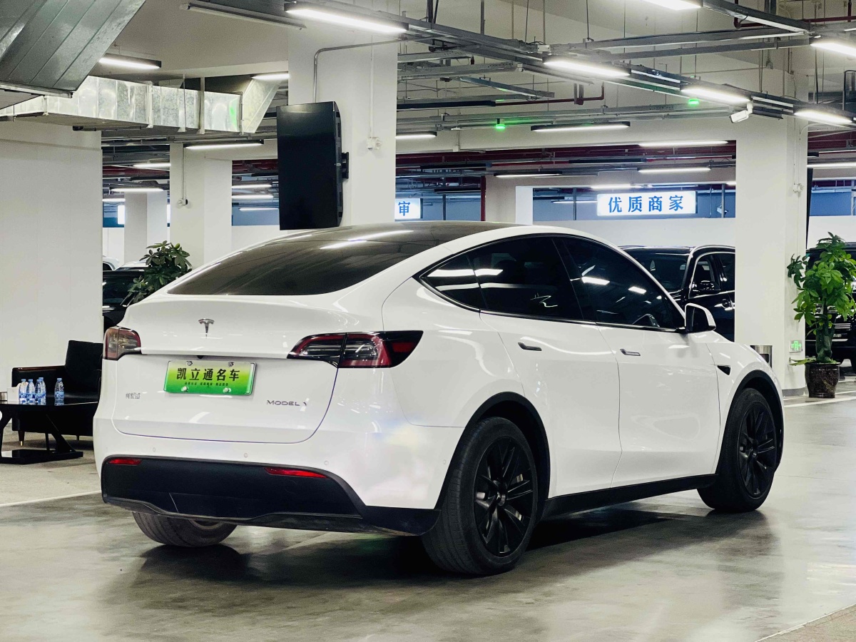 特斯拉 Model 3  2021款 改款 標準續(xù)航后驅升級版圖片