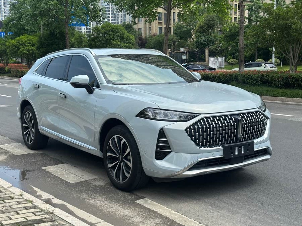 長(zhǎng)城 摩卡  2021款 2.0T 兩驅(qū)特醇版圖片