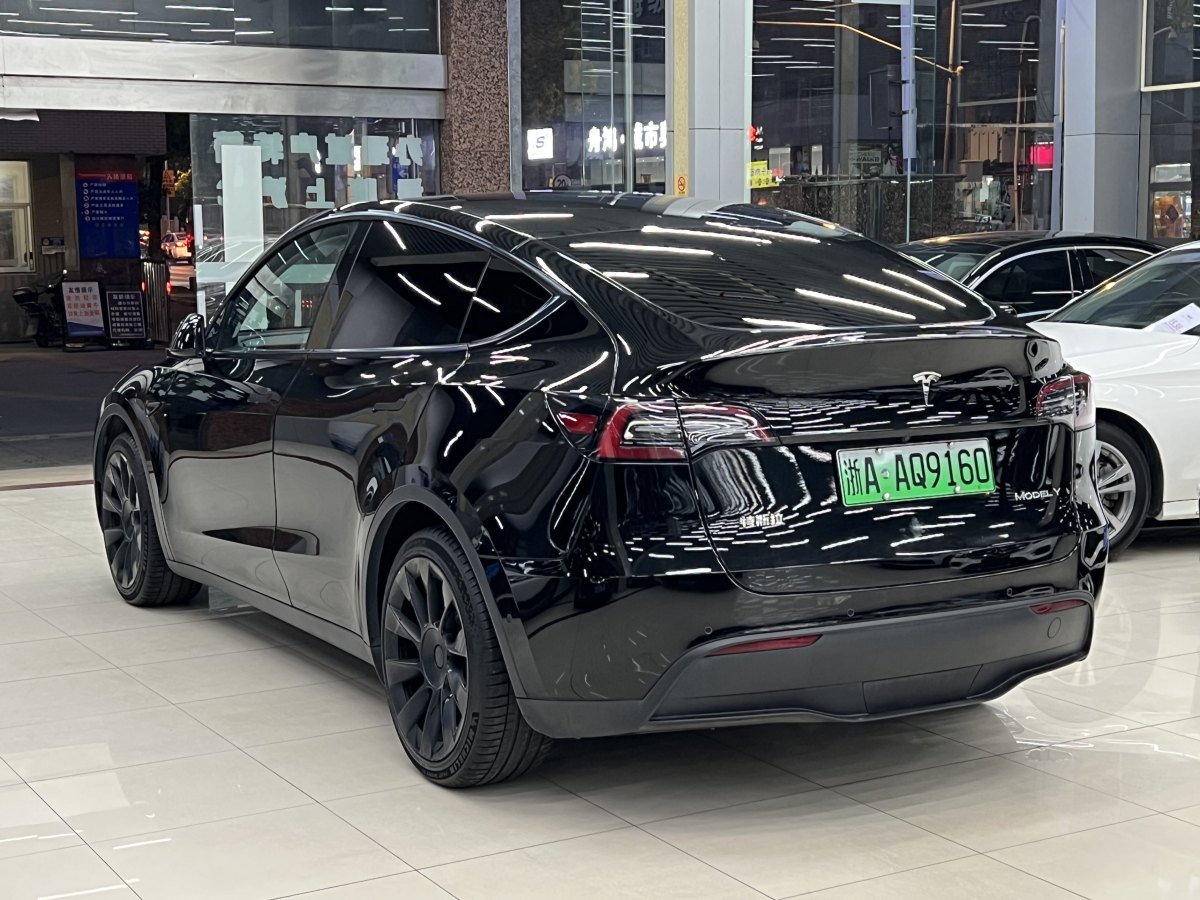 特斯拉 Model Y  2021款 標(biāo)準(zhǔn)續(xù)航后驅(qū)版圖片