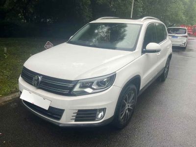 2016年5月 大眾 途觀 300TSI 自動兩驅(qū)豪華版圖片
