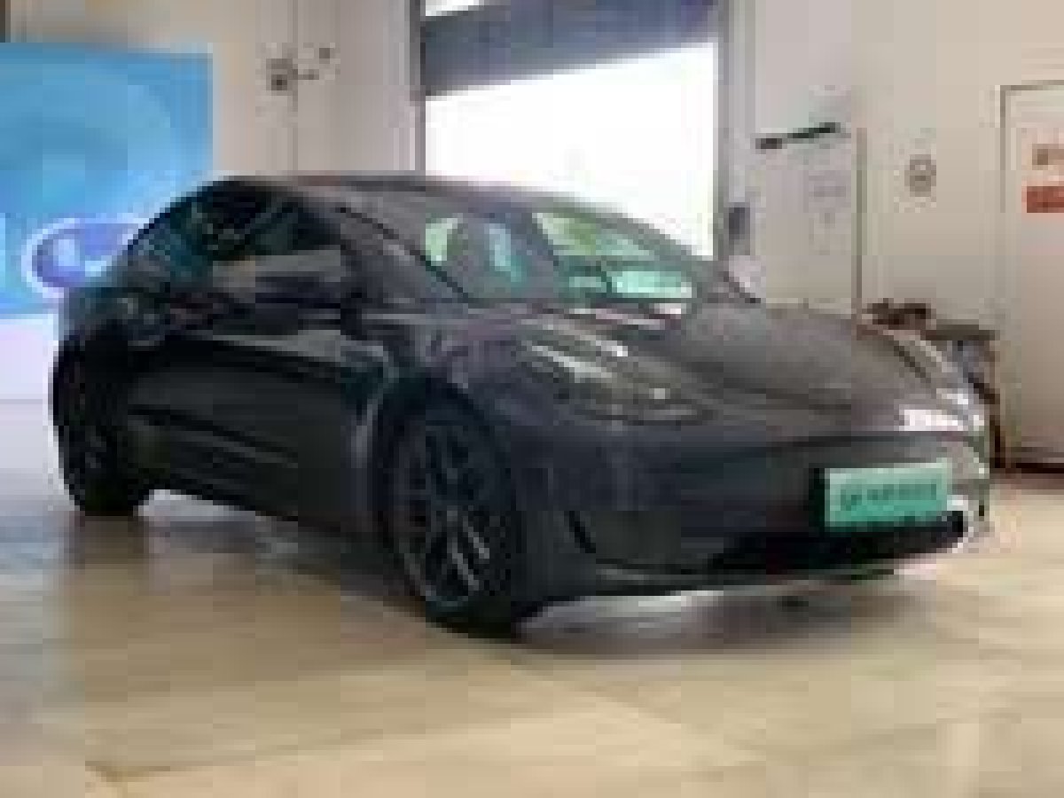 特斯拉 Model 3  2022款 Performance高性能全輪驅(qū)動版圖片