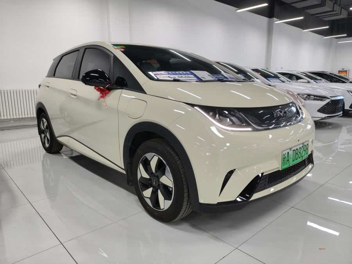 比亞迪 海豚  2024款 榮耀版 420km 自由版圖片