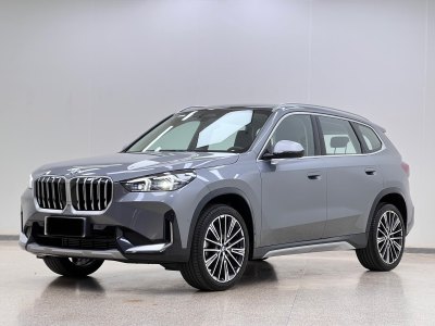 2023年11月 寶馬 寶馬X1 xDrive25Li X設(shè)計(jì)套裝圖片